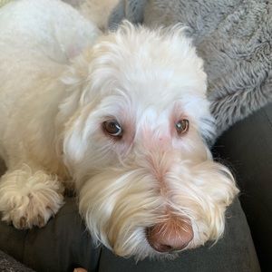 Meet your Posher, Lori